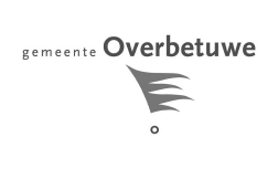 Gemeente Overbetuwe